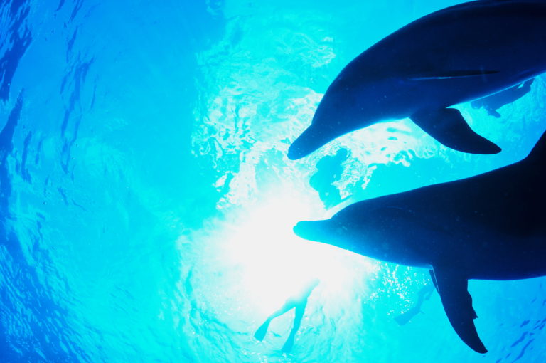 今後の営業につきまして。