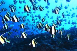 ※営業自粛期間の延長のお知らせ※