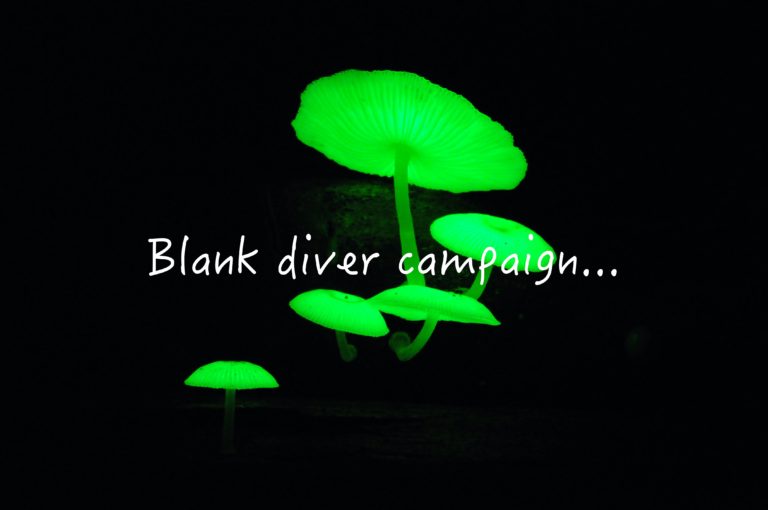 ブランクダイバーさんいらっしゃい⤴︎🐠‼️