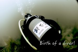 オープンウォーターin獅子浜