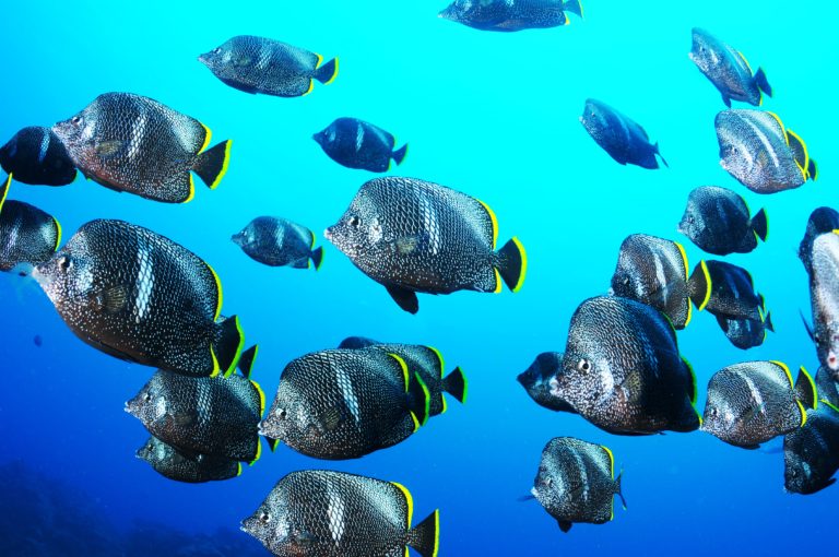 夏はすぐそこ？！