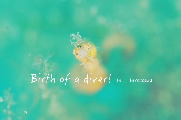 オープンウォーター講習in平沢