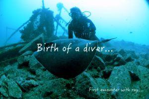 オープンウォーター講習in獅子浜