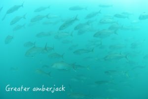 地元の暑さ。。。