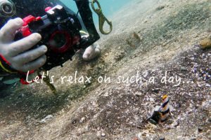 雷を追って。。。