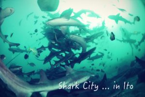 千葉遠征in伊戸。