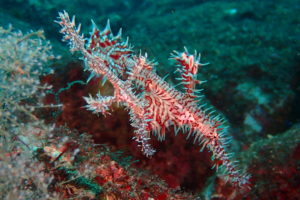 営業時間が変則的ですm(_ _)m