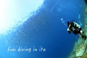 ファンダイビング in井田