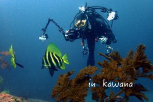 あっ！そうだ、川奈に行こう。