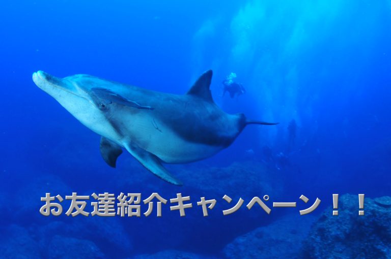 お友達紹介キャンペーン！！