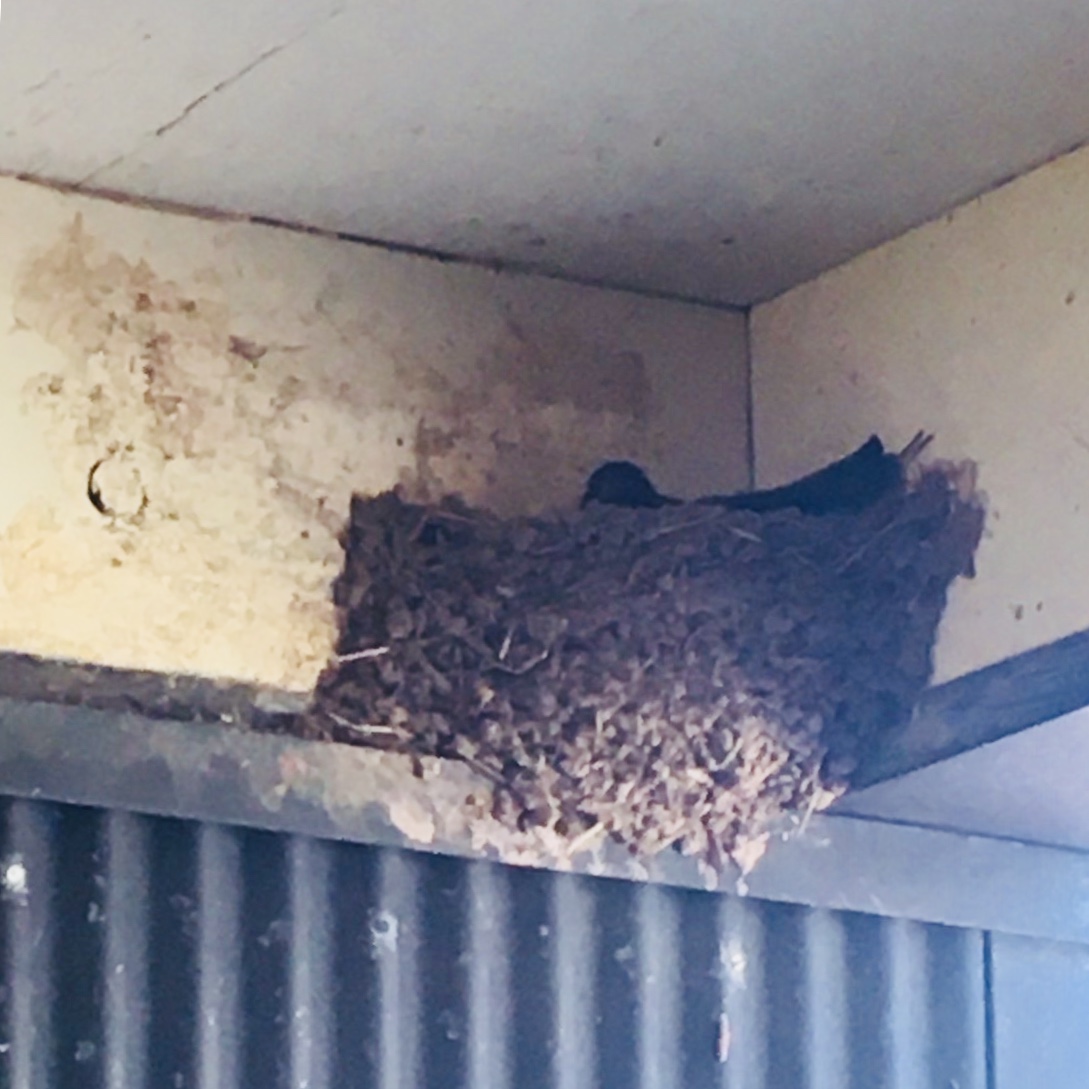 遠い・・・(≧∀≦)