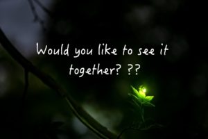 昆虫は好きですか？？