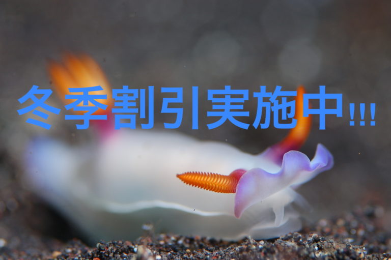 １２〜３月は、冬季割引実施中です!!