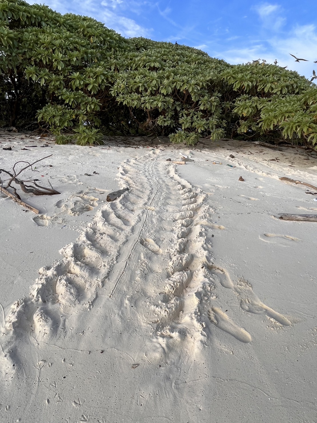 今後の営業時間について。