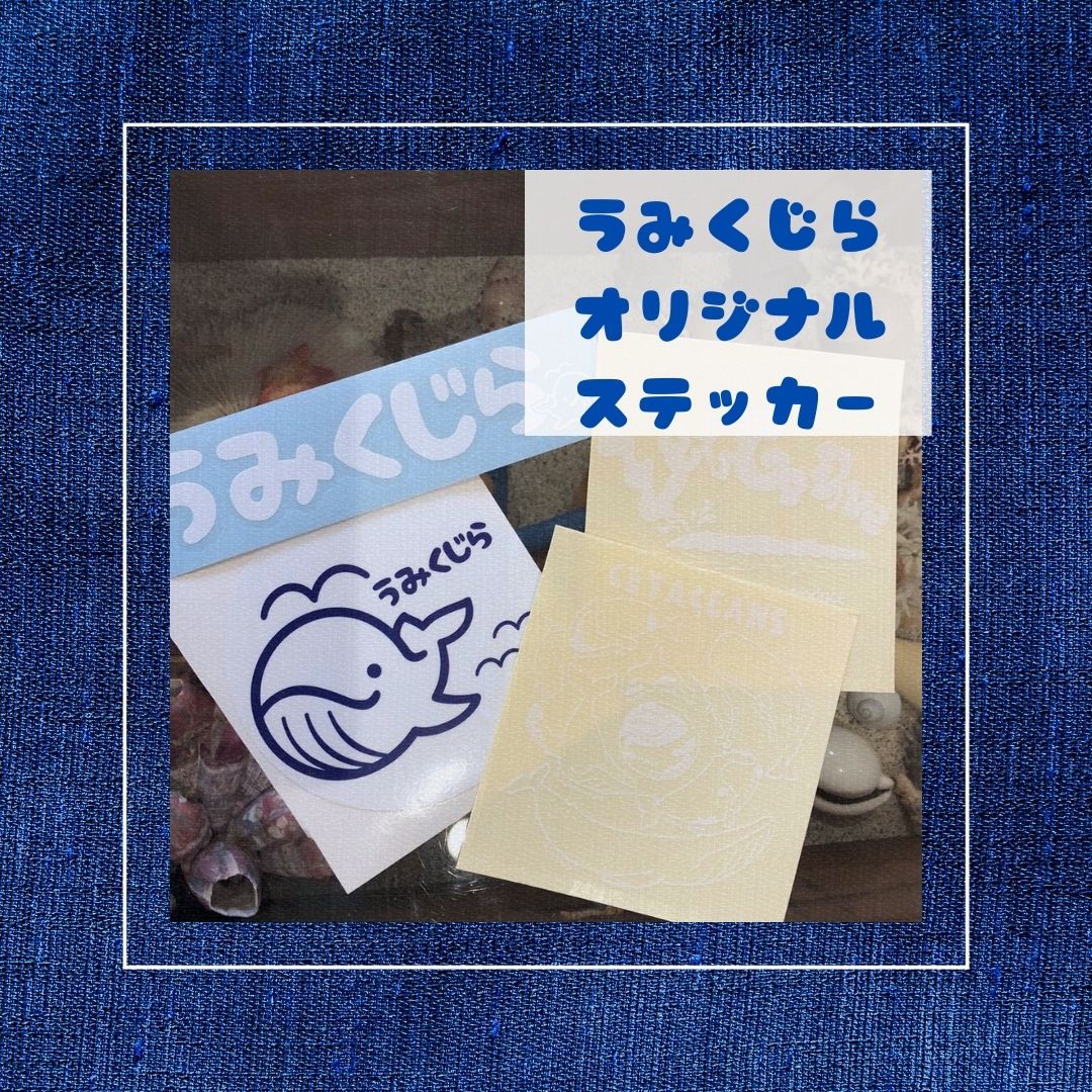 うみくじらオリジナルステッカー
