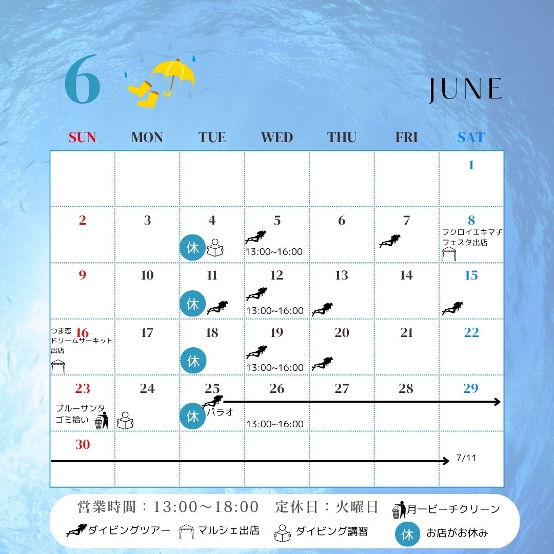 ６月の予定