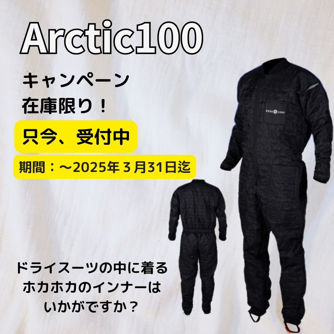 アークティック100キャンペーン