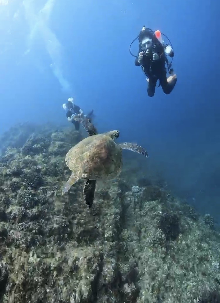 毎日でも潜りたい