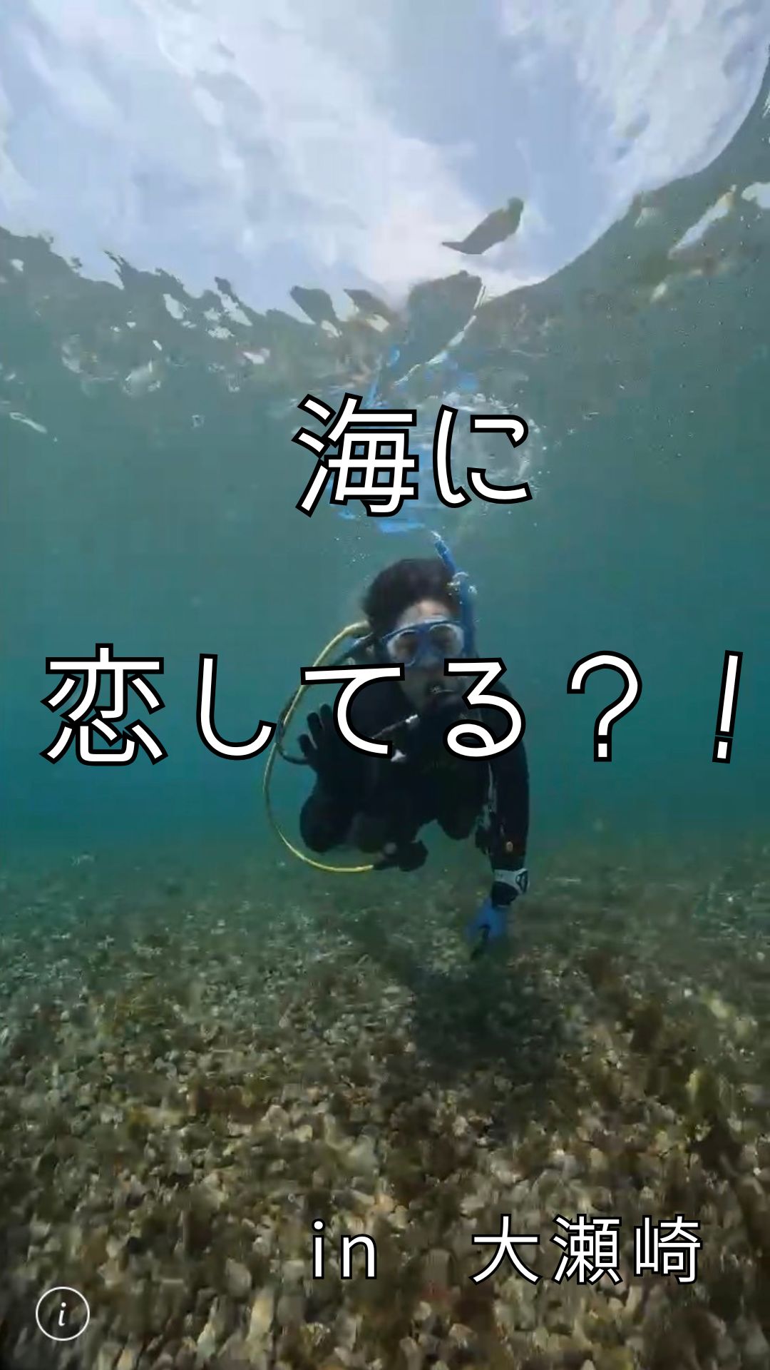 海に恋してる？！