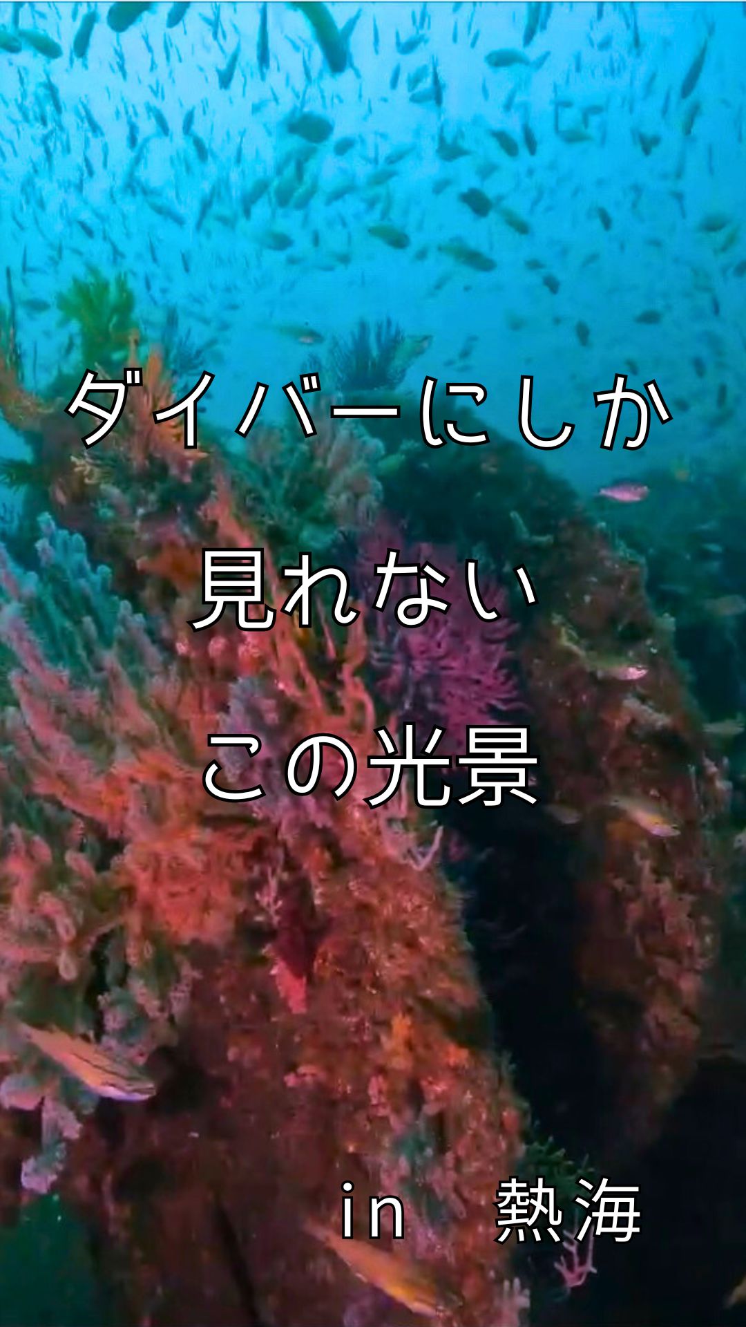 憧れの沈船