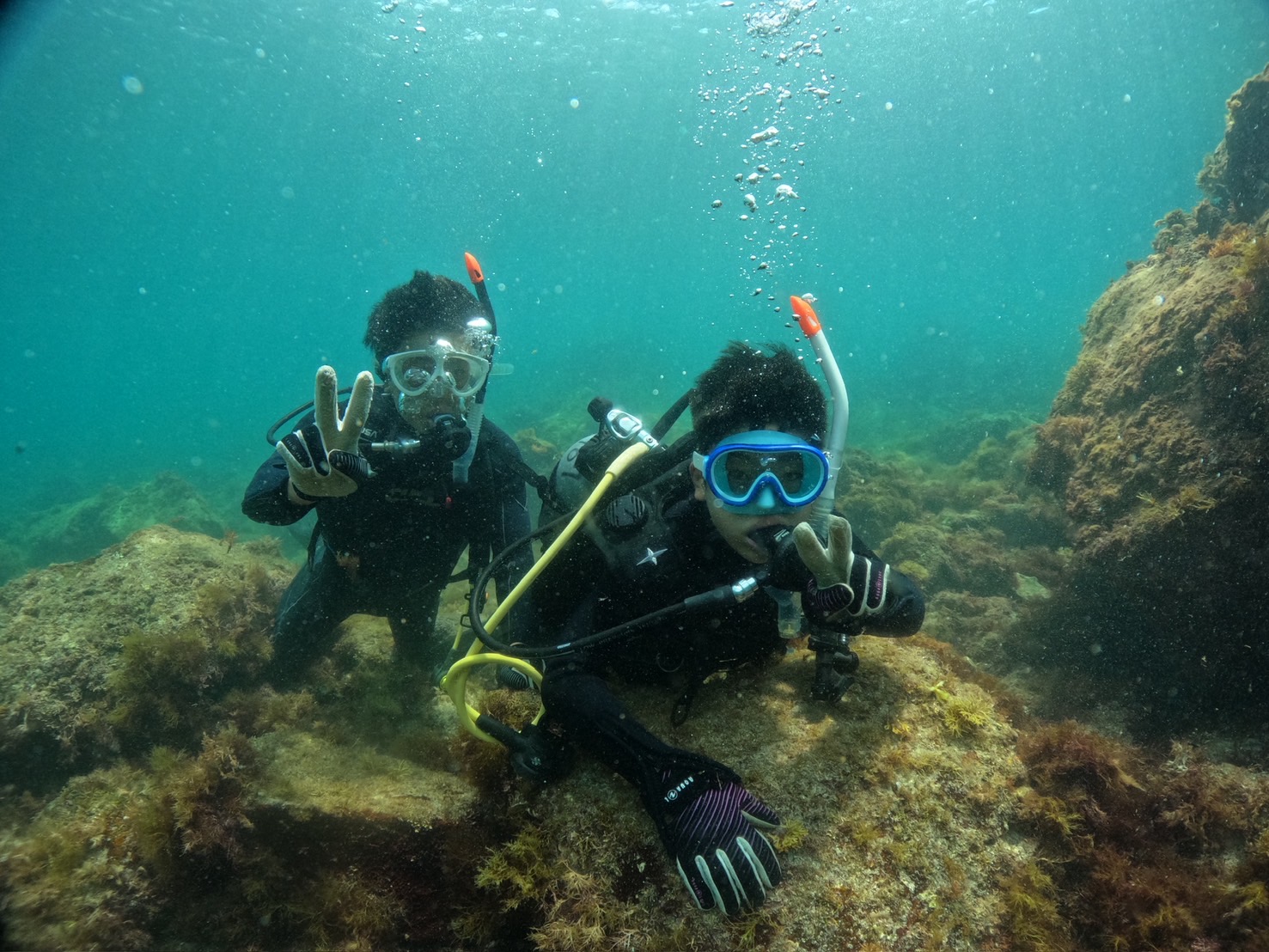【体験ダイビングで感動！川奈の海とアオウミガメ】