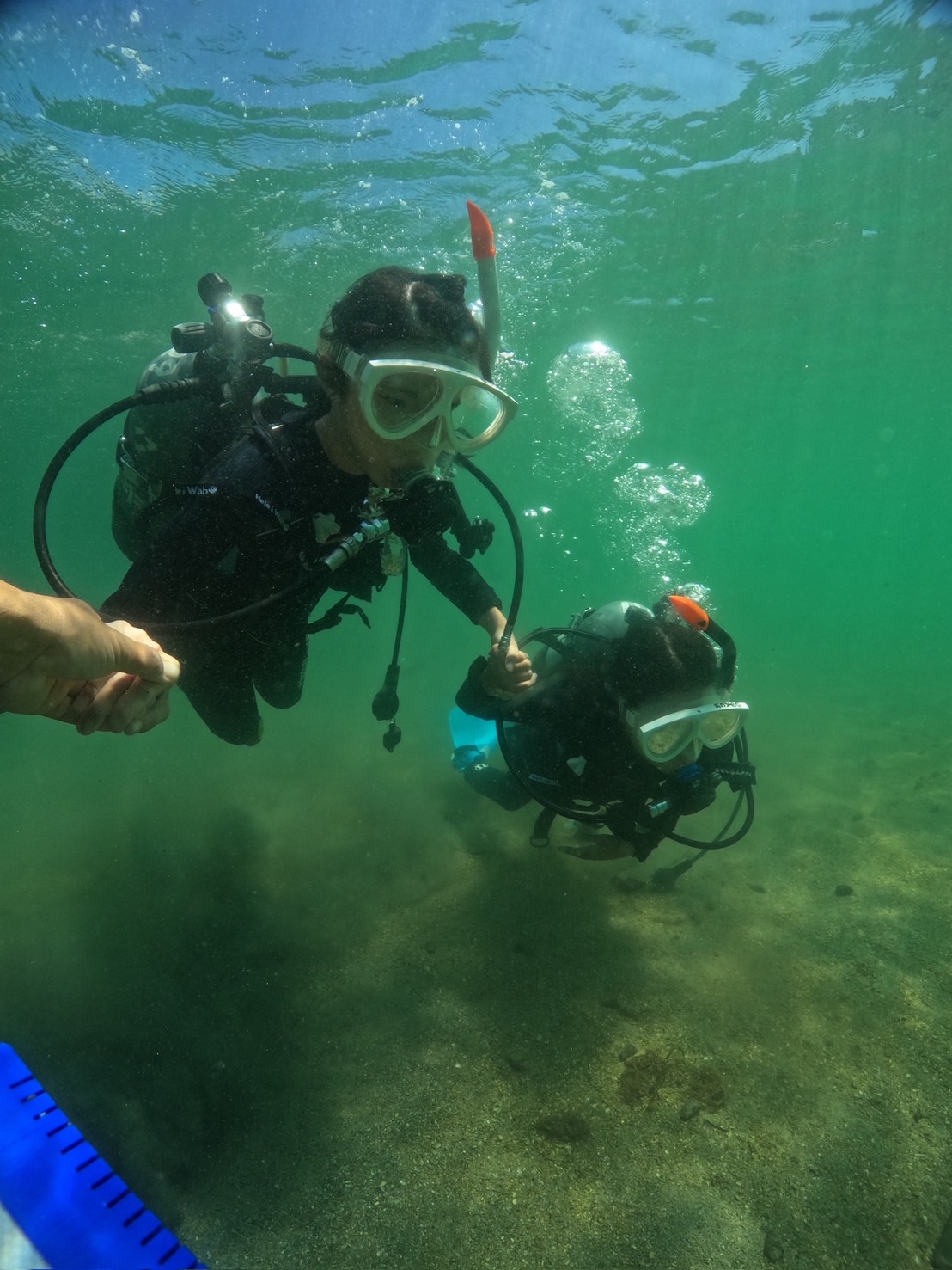 【夏休みの思い出を海で！平沢体験ダイビング】