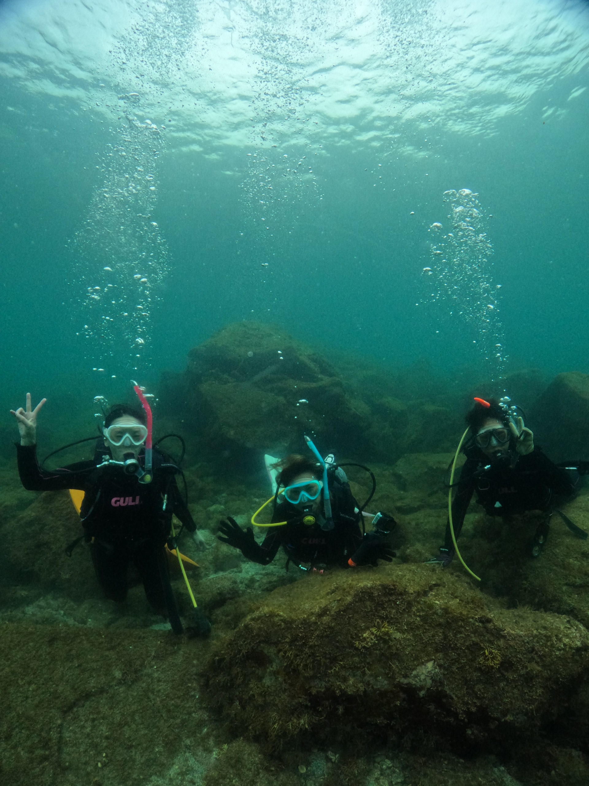 【川奈ダイビングレポート】