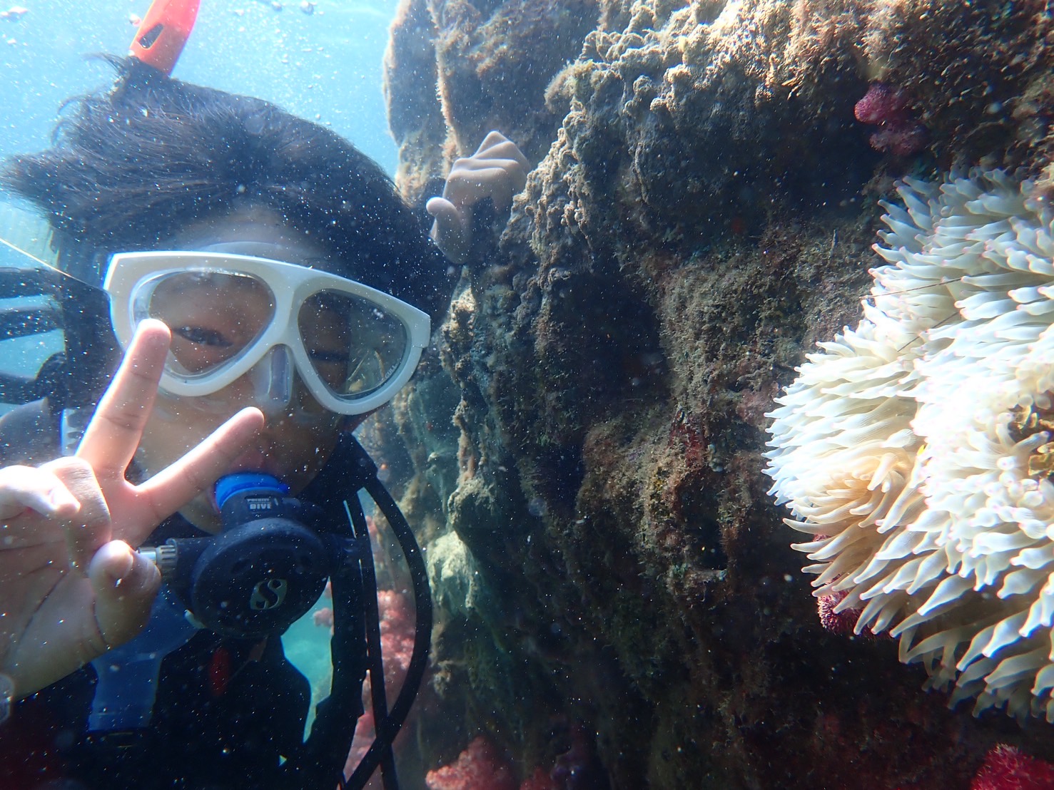 【田辺でハルの体験ダイビング】