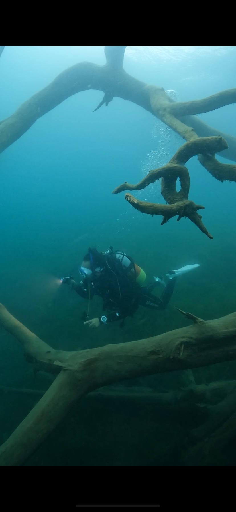 【本栖湖で潜ってみたら…思わず笑っちゃう高所ダイビング体験レポート】