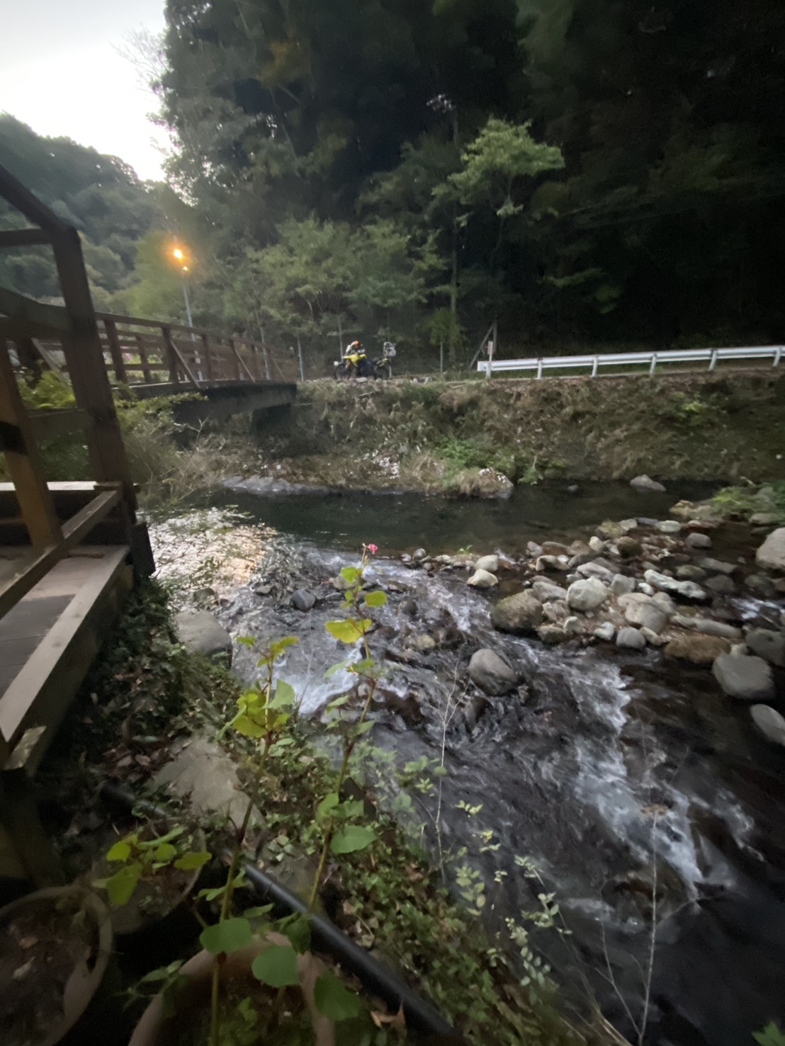 １泊２日伊豆ダイブ♪( ´θ｀)ノ